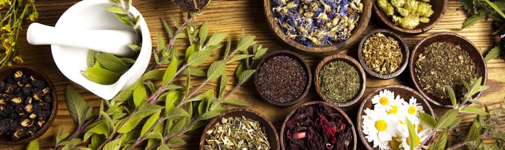 fitoterapia medicina cinese